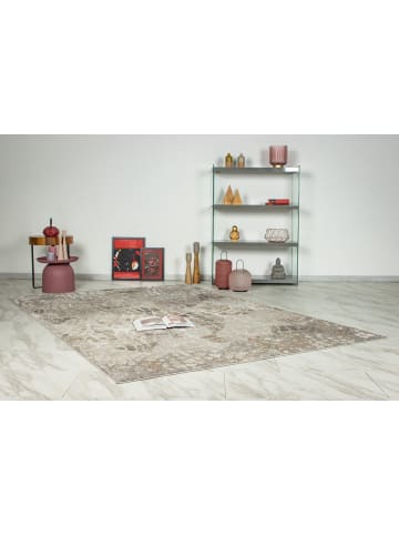 Teppich Boss Kurzflor Teppich Carlotta 225 in Silber Beige