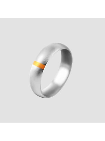 Adeliás Herren Ring aus Edelstahl in silber