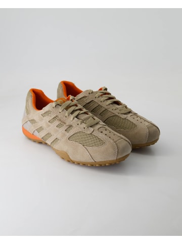 Geox Sneaker low in Beige