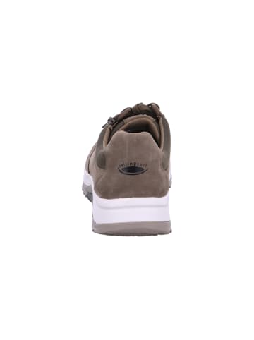 Pius Gabor Sneaker in Grün