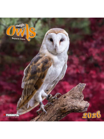 TUSHITA Kalender - Magic Owls  2026