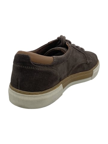Camel Active Sportliche Schnürschuhe in Braun