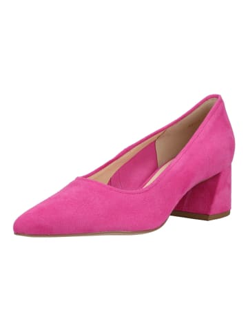 Högl Pumps in Rosa