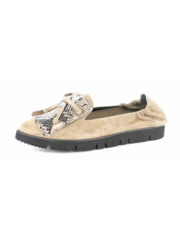 Kennel & Schmenger Slipper in beige