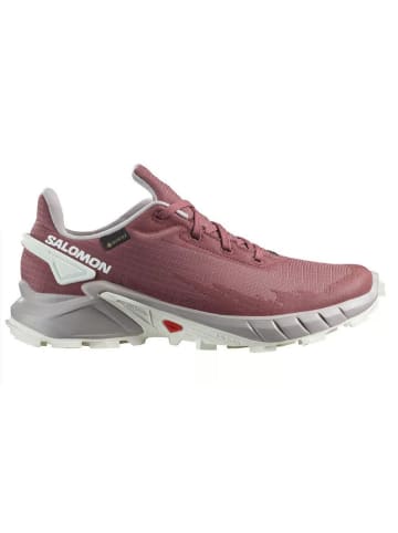 SALOMON Laufschuhe/Trailschuhe SHOES ALPHACROSS 4 GTX in Rose