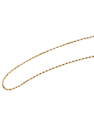 Adeliás Unisex Halskette aus Edelstahl 60+5 in gold