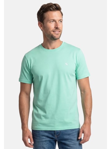 Lerros T-Shirt Basic in Mint / weiß