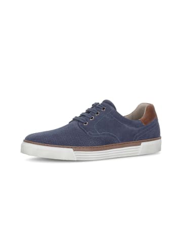 Gabor Sneaker low in blau