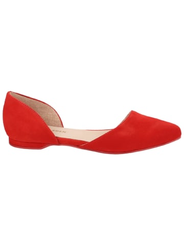 Apple of Eden Ballerina in rot