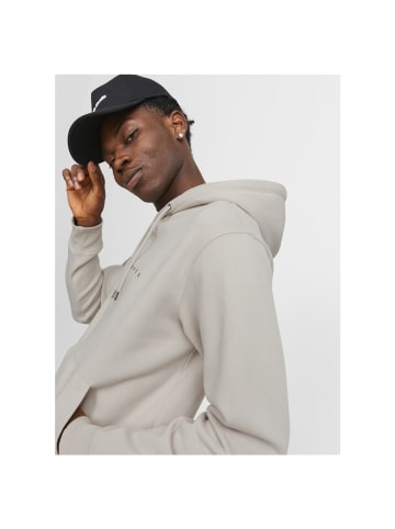 Jack & Jones Sweatshirt in moonbeam