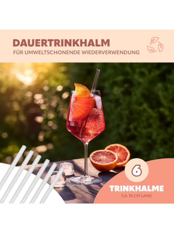 bremermann 6er Glas-Trinkhalme