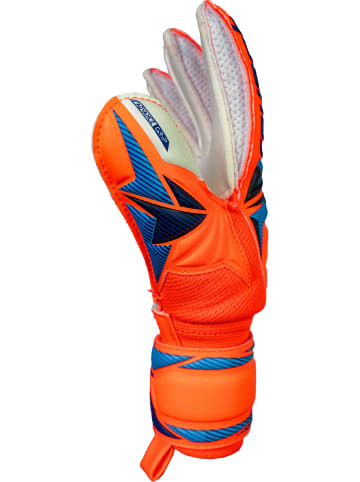 Reusch Torwarthandschuhe Attrakt Advance Junior in 2290 shocking orange/blue