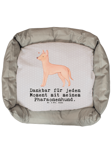 Mr. & Mrs. Panda Hundebett Pharaonenhund Moment mit Spruch in Grau Pastell