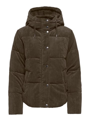 JDY Cordjacke in Delicioso