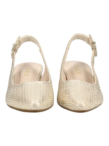 Gabor Pumps in Gold