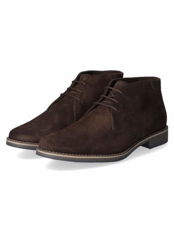LLOYD Schnürstiefel in brown