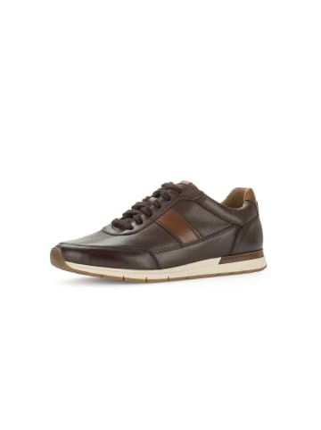 Pius Gabor Sneaker low in braun