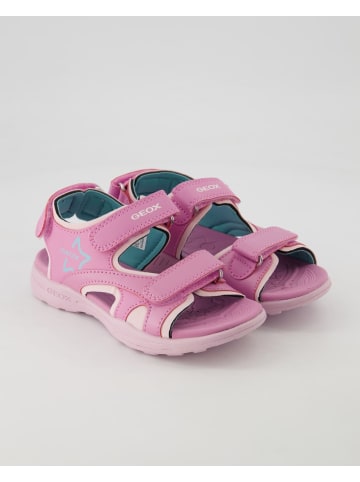 Geox Klettschuhe in Pink