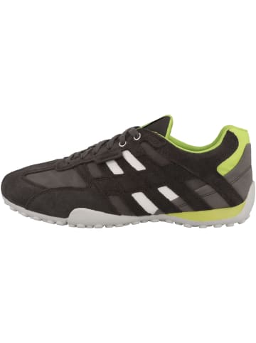 Geox Sneaker low U Snake A in grau