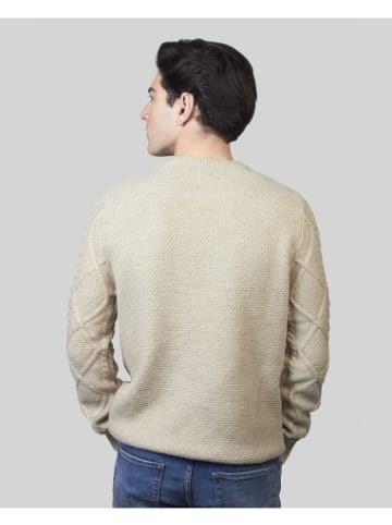Jack & Jones Pullover in Beige