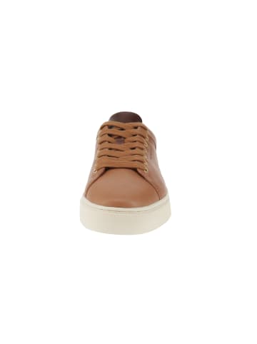 Gant Sneaker low Mc Julien in Braun