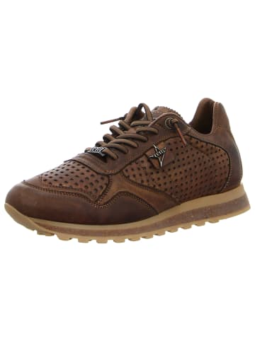 Cetti Sneaker in braun