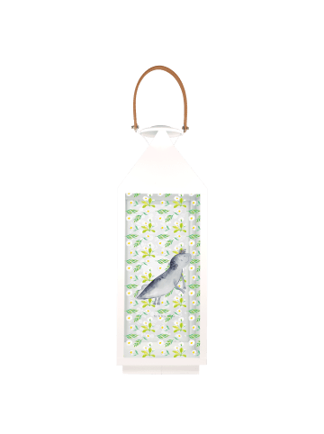 Mr. & Mrs. Panda Laterne Axolotl Schwimmen ohne Spruch in Transparent