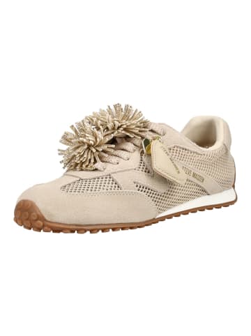 Steve Madden Halbschuhe in Sand