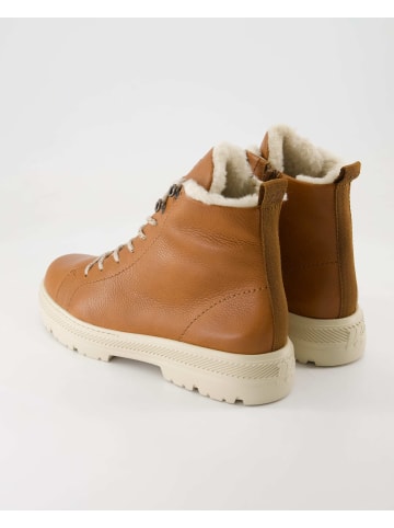 Paul Green Schnürstiefeletten in Braun