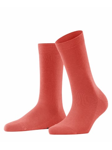 Falke Socken Family in Orange