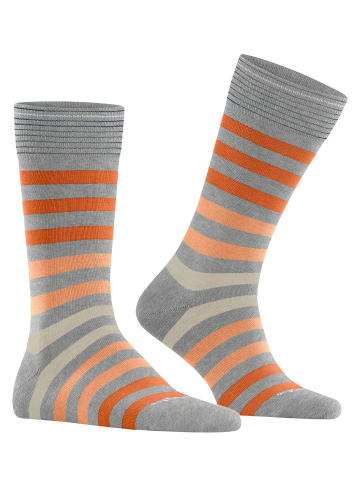 Burlington Socke Blackpool SO in Lunar