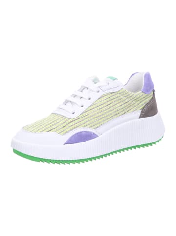 Palpa Sneaker in bunt