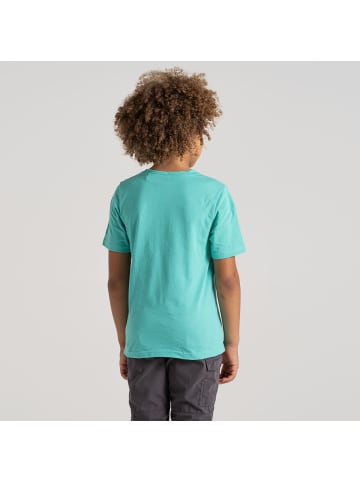 Craghoppers T-Shirt Ellis in Ocean Green Penguin