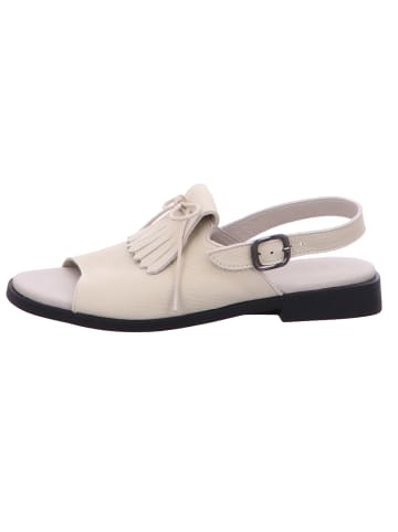 Arche Schnürschuh in blau