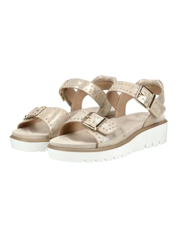 ara Sandalen in Beige
