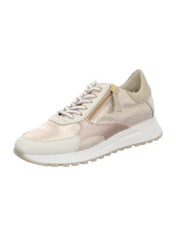 DL-Sport Sneaker Low in Gold