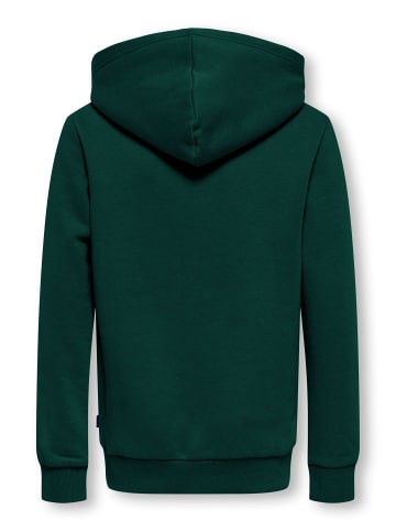 ONLY & SONS Junior Kapuzenpullover in Pine Grove 1
