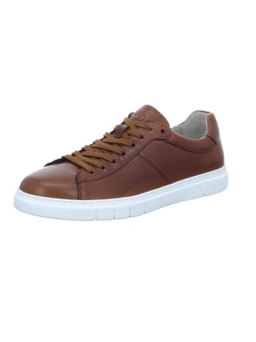 Pius Gabor Schnürschuhe  in braun