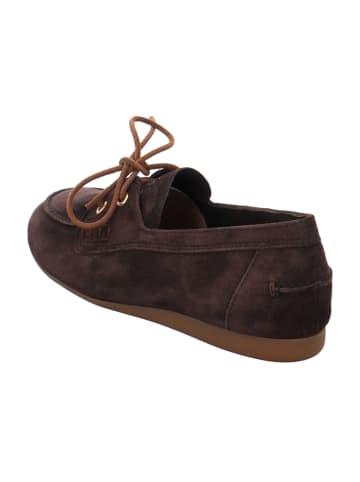 Paul Green Klassische Schnürschuhe in Braun