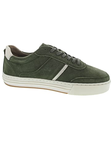 Camel Active Discover Sneaker low Grün