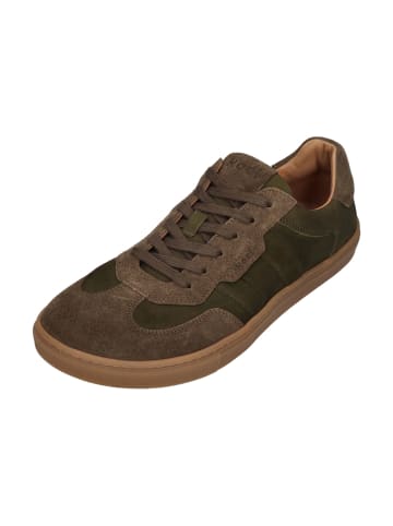 KOEL Sneaker Low HELIO SUEDE in grün