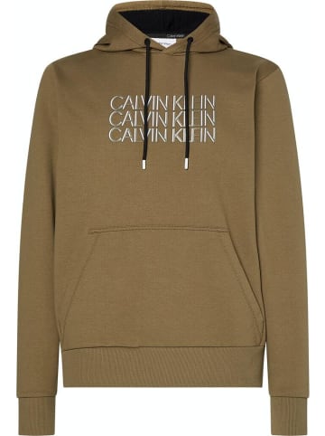 Calvin Klein Sweatshirt in delta green