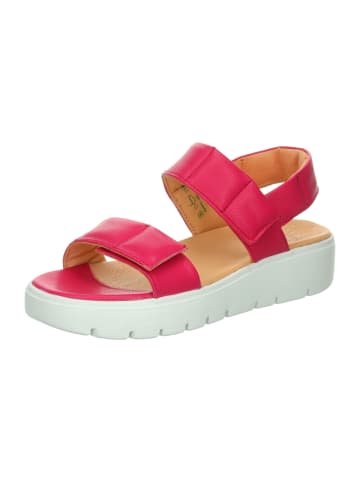 Think! Riemchensandale SING LIGHT in Magenta