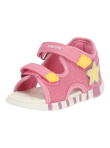 Geox Sandalen in Pink