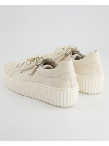 Gabor Sneaker low in Beige