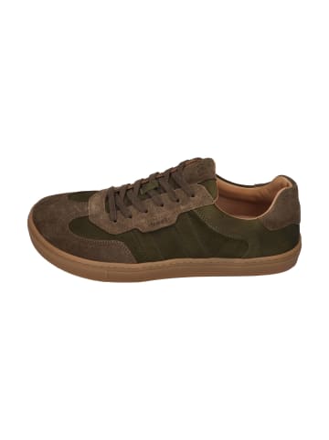 KOEL Sneaker Low HELIO SUEDE in grün