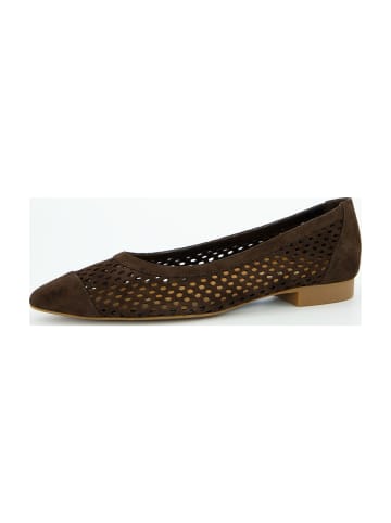 Paul Green Ballerinas in Braun
