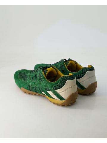 Geox Sneaker low in Grün