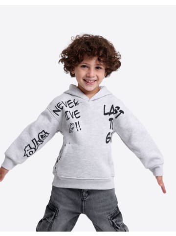 SOLANG Sweatshirt in Hellgrau