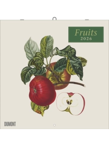 DuMont Kalenderverlag Kalender - DUMONT - Fruits 2026 - Broschüren-Wandkalender 30 x 30 cm mit h